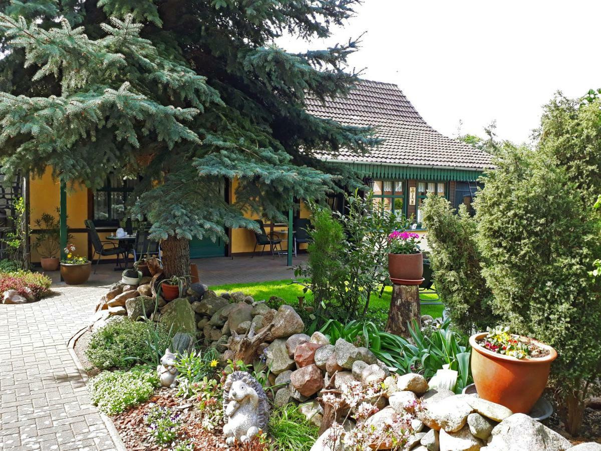 Pension Zum Weissen Hirsch Reitwein Bagian luar foto